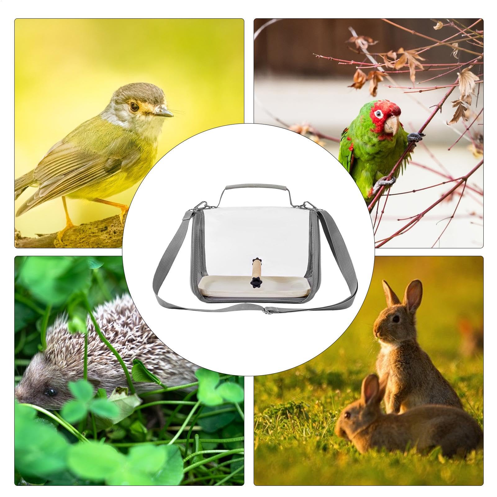 Borsa da trasporto per pappagalli, trasportino per parrocchetti con posatoio, calopsitta, piccola gabbia per il trasporto di animali domestici, parrocchetti, piccioncini, calopsitte