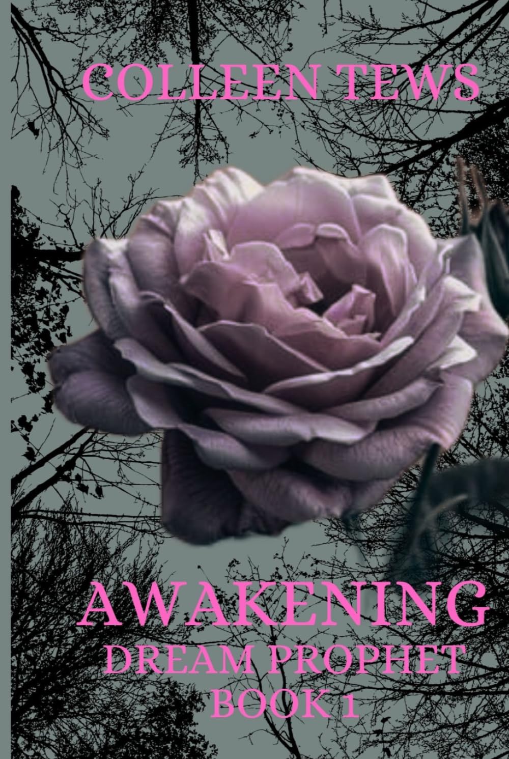 Awakening (Dream Prophet Trilogy)