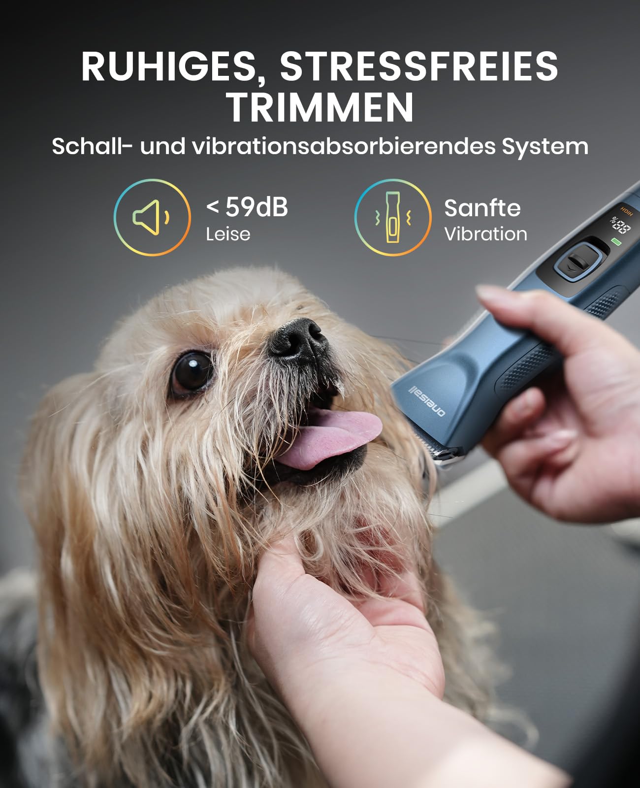 Oneisall Hundeschermaschine profi 1 Akkus, 2-Gang Schermaschine Hund Katze, Hundetrimmer Leise für Dickes, Langes und Lockiges Tierhaare, mit Karbonstahl-Klingenkamm (Blau, 1*Akkus)