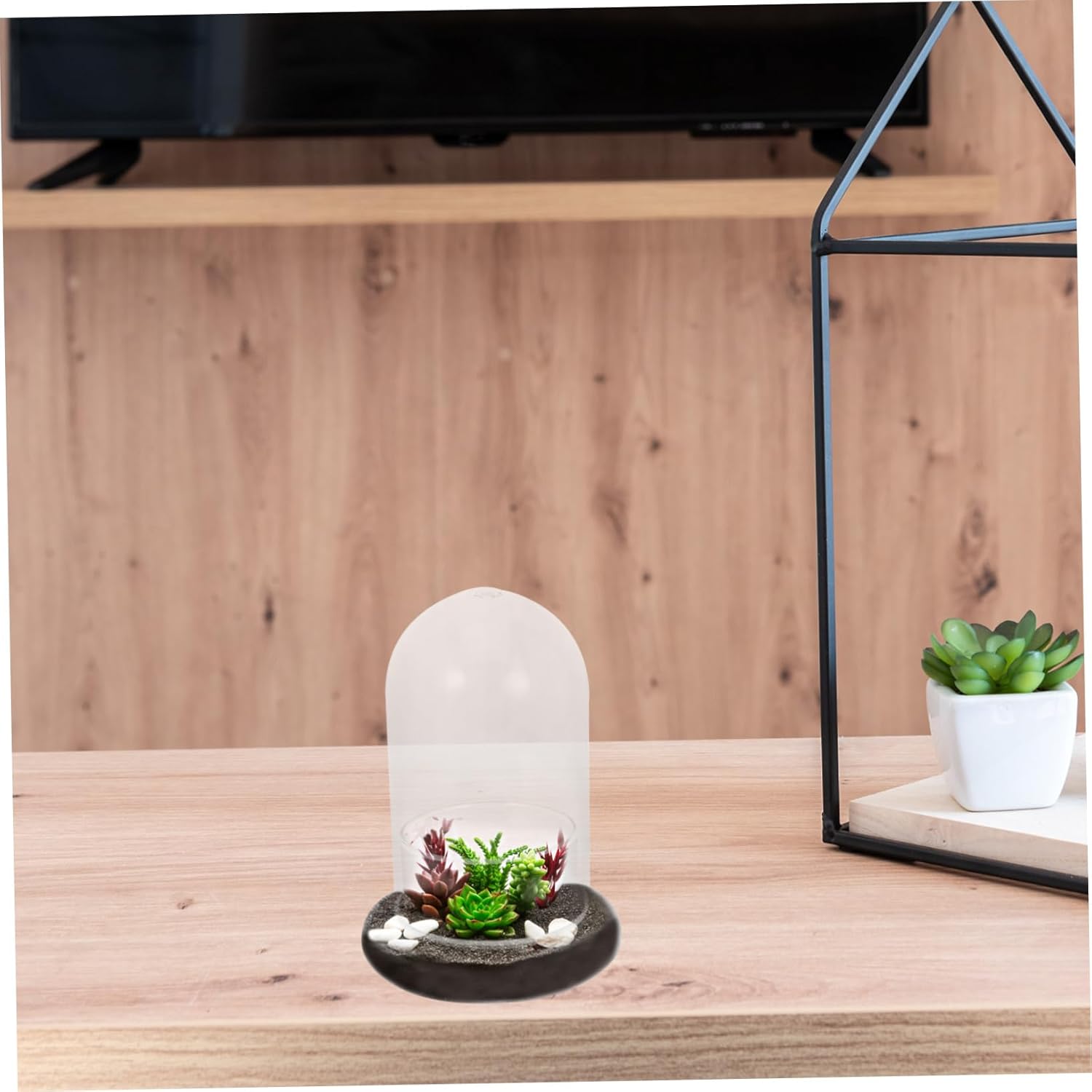 2pcs Landscape Glass Bottle High Borosilicate Eco Terrarium for Decoration for Moss and Miniature Plants for Decor