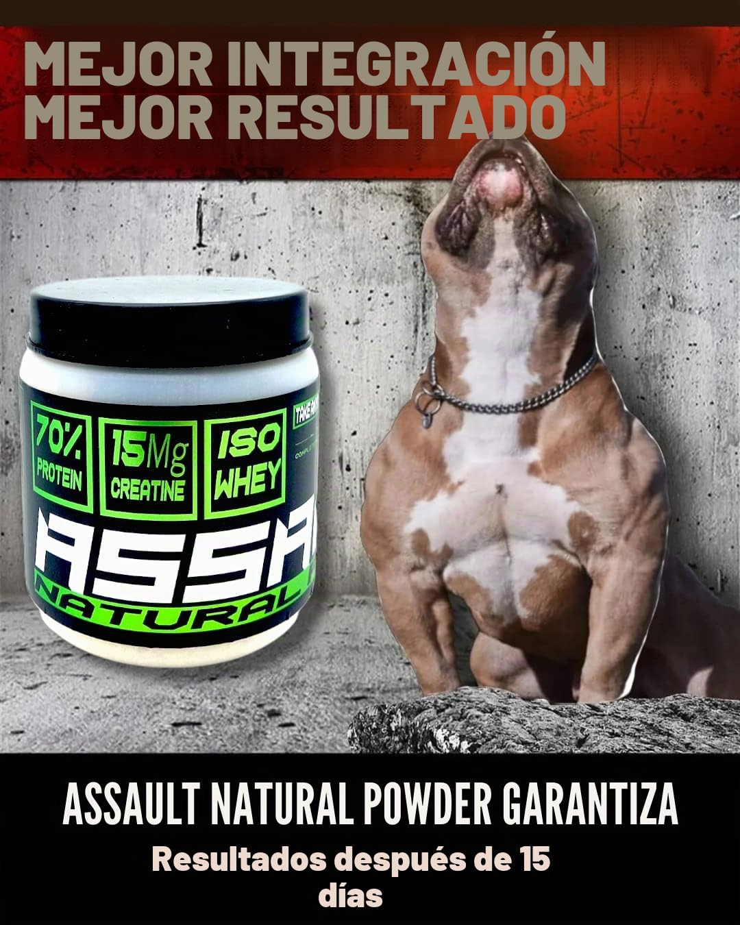 Assault Natural Powder 250 Suplemento muscular para perros, proteína del suero concentrado W.P.C. 80%, aminoácidos, B.C.A.A., Creatina 15.000 mg, crecimiento y definición muscular, polvo