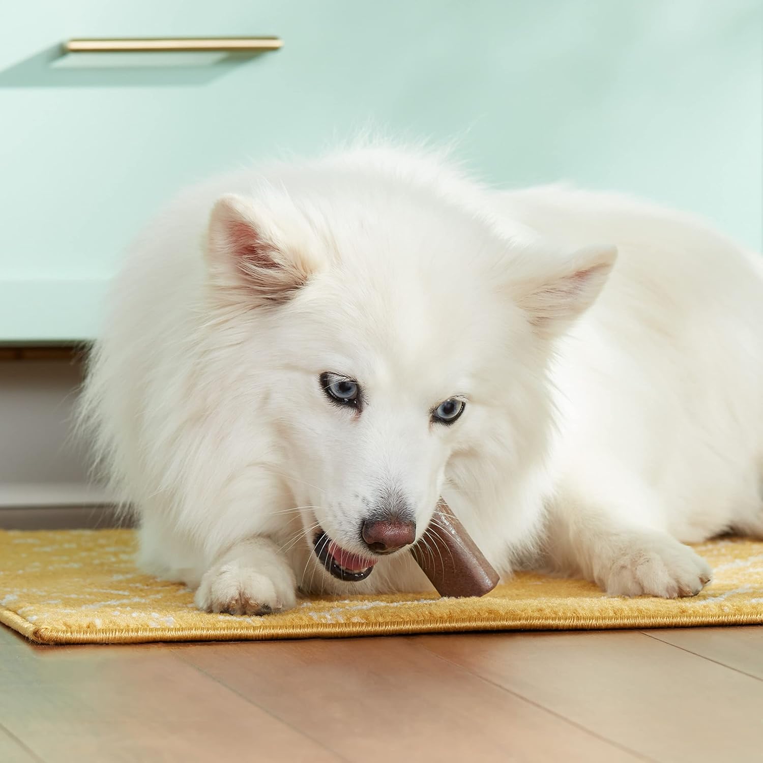 Nutrish Rachael Ray Dog Chews Soup Bones with Real Turkey & Rice, 24 Dog Treats