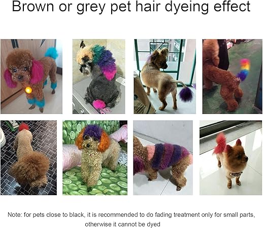 Amazon Co Jp Funien ペットの毛染め ペット染毛剤 80 グラムペット犬猫動物ヘアカラー染料染色顔料剤ヘアカラーリング安全な犬のアクセサリー ビューティー