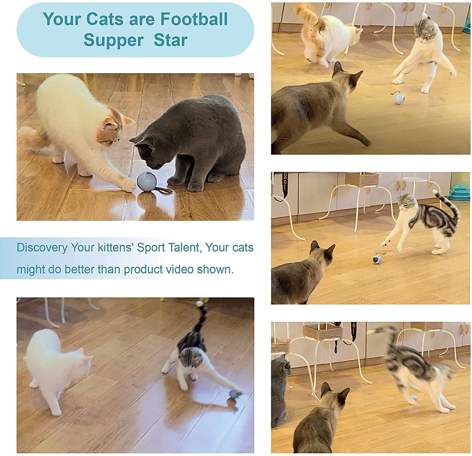 Migipaws Set di giocattoli interattivi per gatti, inseguitore di divertimento, palla da inseguimento automatica con coda soffice, un piccolo topo, ricaricabile