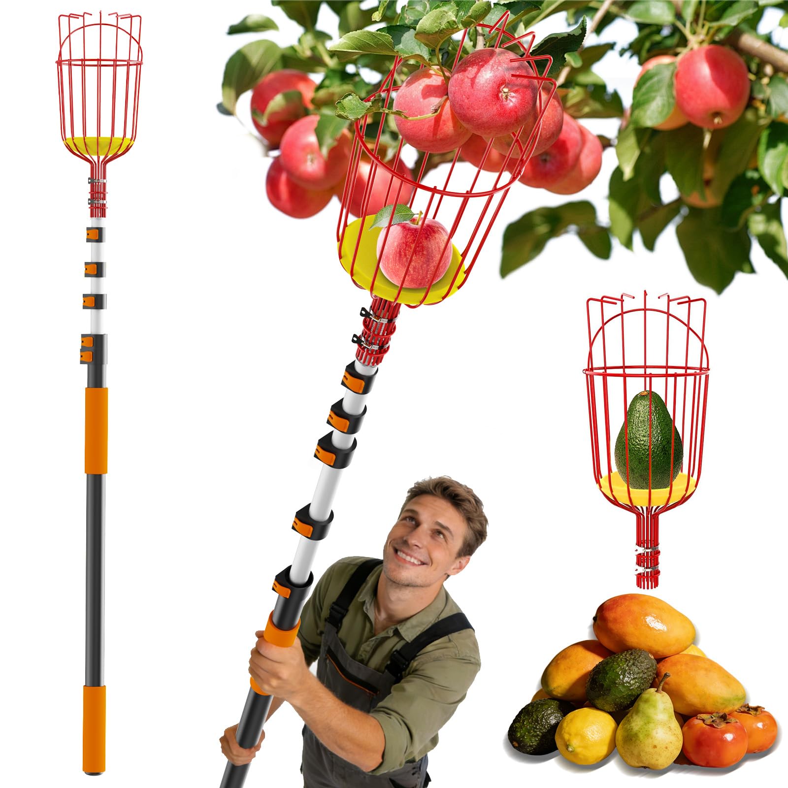 Buyplus 30ft High Reach Fruit Picker with Basket Telescoping, 5-24 Foot Heavy Duty Sturdy Aluminium Telescoping Extension Pole, Easy to Attach Twist-On Metal Basket for Picking Mango Avocado Lemon