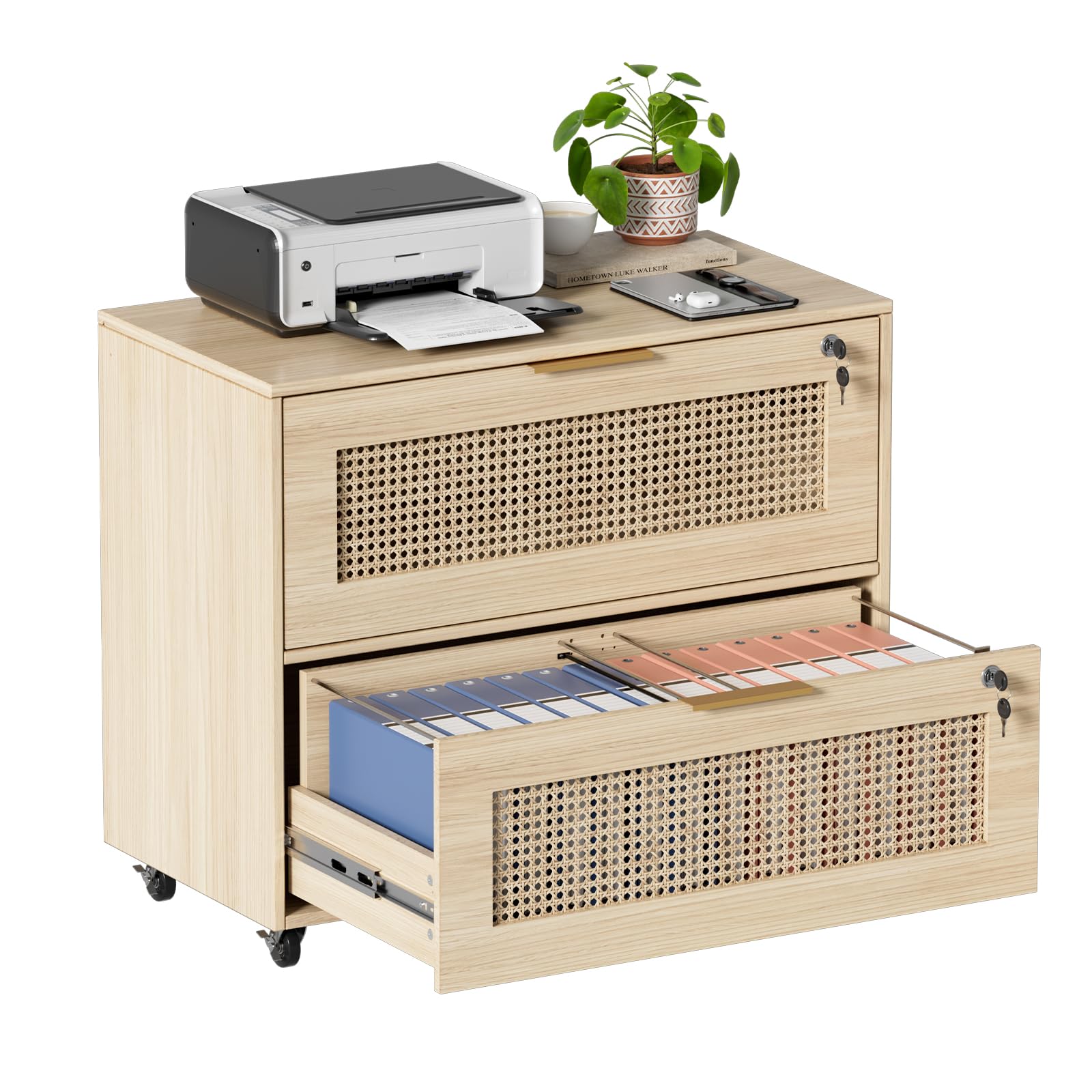 MSFE Mueble Archivador con 2 Cajones para Documentos Archivador Móvil para Archivos A4/B5/F4 Cajoneras Escritorio con Estante Ajustable Armario Archivador Móvil con 4 Ruedas para Oficina 79x40x67.5CM
