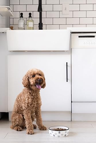 Miniatura 6 de Pearhead Cuenco de cerámica para perros, capacidad para 2 tazas, plato de cerámica para alimentos y agua para perros de hasta 20 libras, base