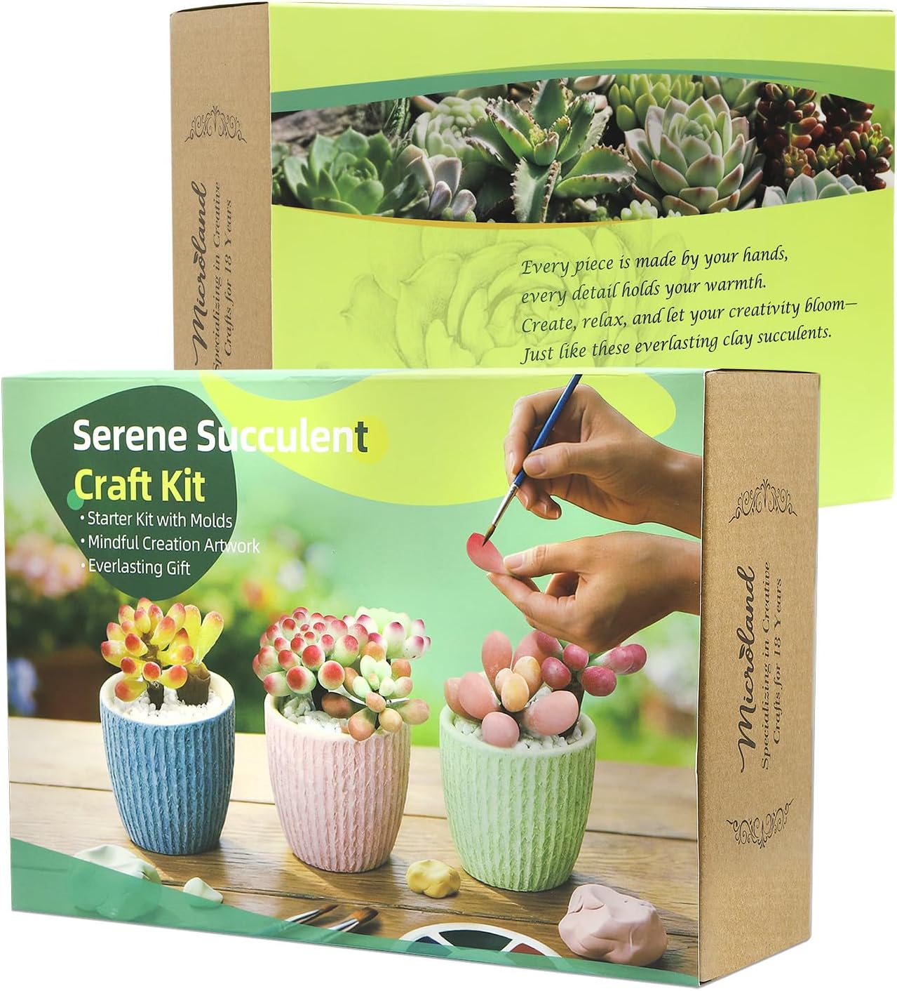 Microland Air Dry Clay Art Set Fake Succulents Flower Making Kit Adult Arts and Crafts for Women Creative Craft Kits for Teens DIY Mini Plant Crafting Set Crafty Flower Gift Artist Gift for Mother Fun