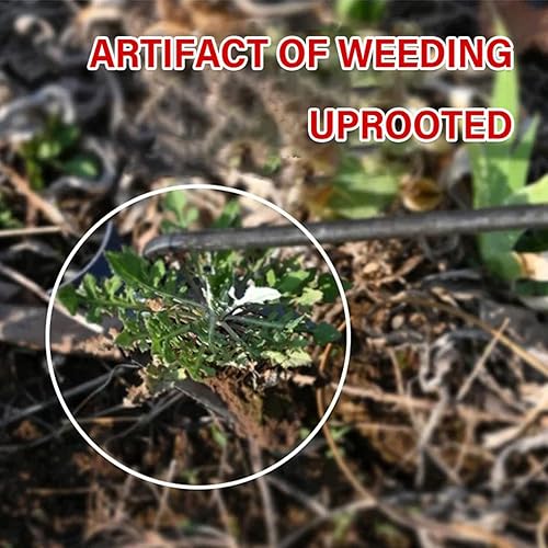 Miniatura 6 de MAVLLY Herramienta de deshierbe de artefactos de desarraigo, herramientas de desmalezadora de jardín, extractor de malezas de 4 dientes, herramienta