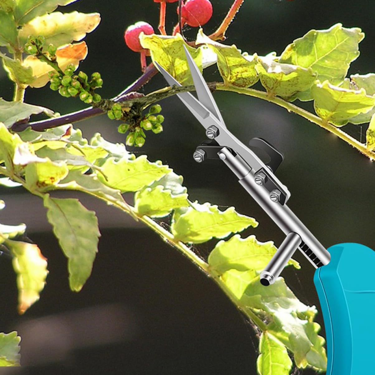 Kisangel 5 Stücke Gartenschere Obst Zweig Trimmer Gartenschere Für Pflanzen Beschneiden Garten Pruner Garten Werkzeug