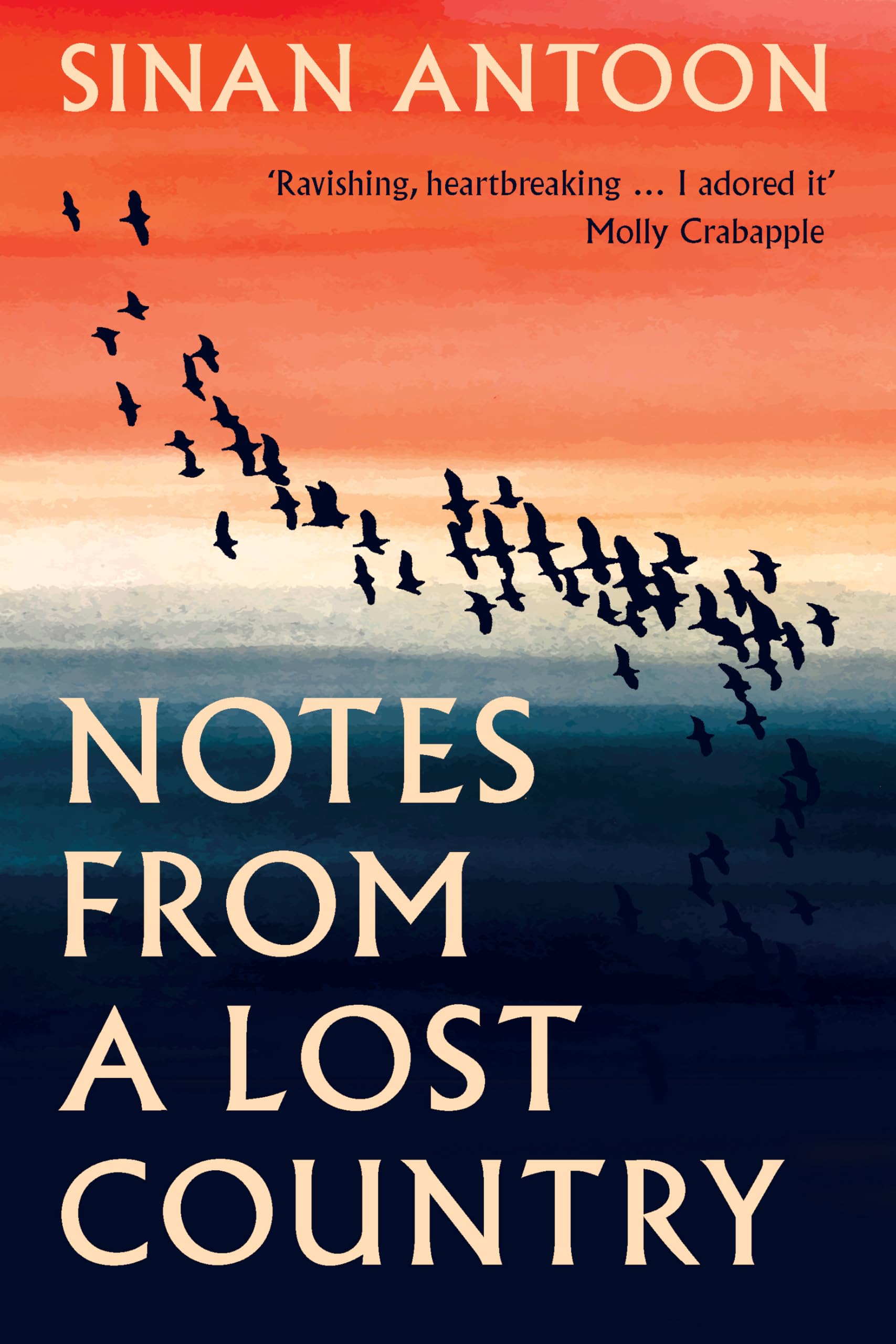 Notes from a Lost Country by Sinan Antoon HARDBACK 9781849251235
