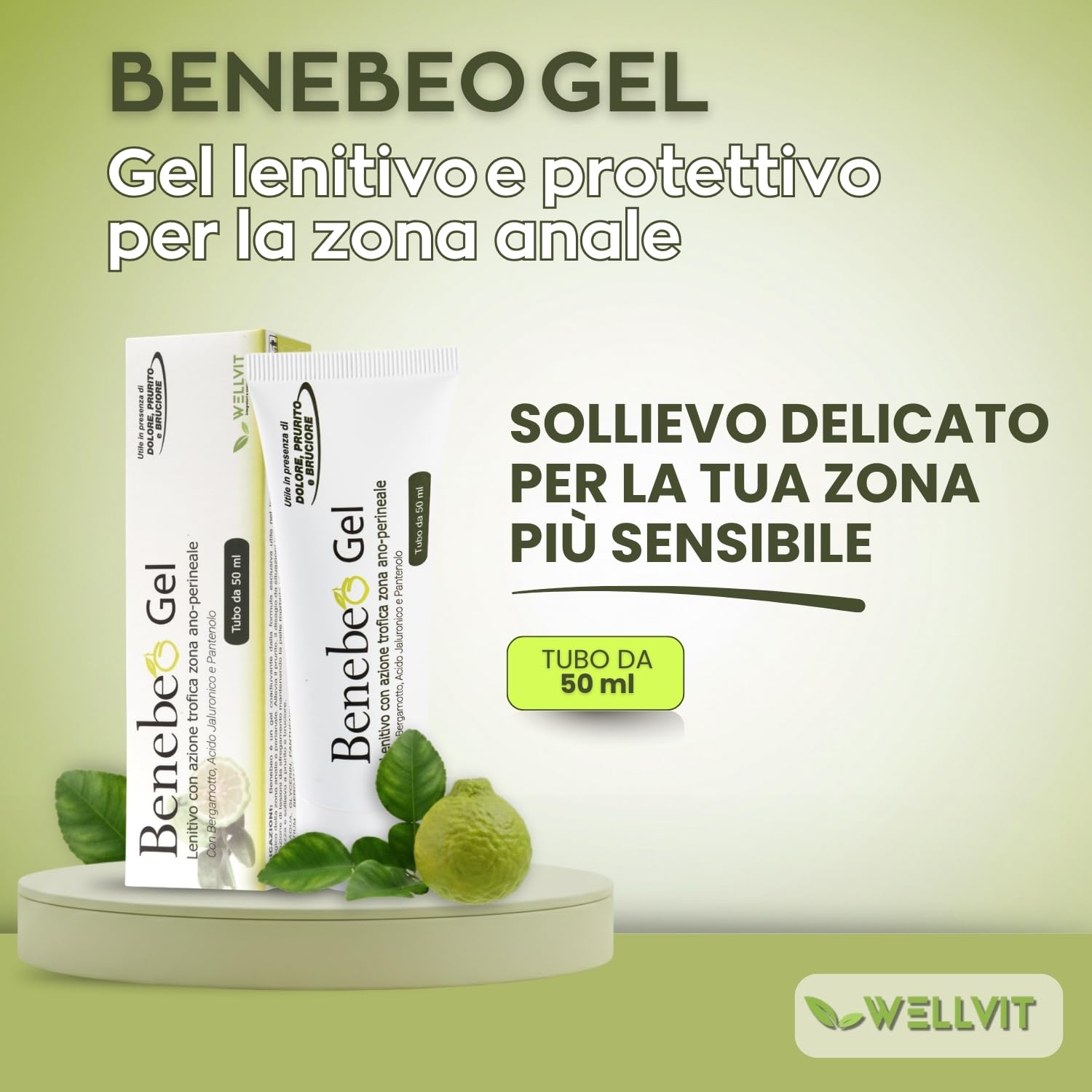 Benebeo Gel Wellvit - Crema Anale, Crema Intima Lenitiva Prurito Bruciore Zona Ano-Perineale con Acido Ialuronico e Pantenolo, Sollievo per Fastidio e Sensibilità, pH Fisiologico - 50 ml Made in Italy