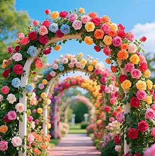 600+ Mix Climbing Rose Seeds for Planting Outdoors Ornamental Vine Rosas...