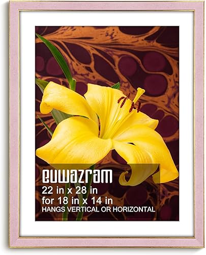 Miniatura 29 de Marco de gamuza de 10 x 13 pulgadas, marco individual, elegante marco verde de 10 x 13 pulgadas con paspartú para fotos de 8.5 x 11 pulgadas, para