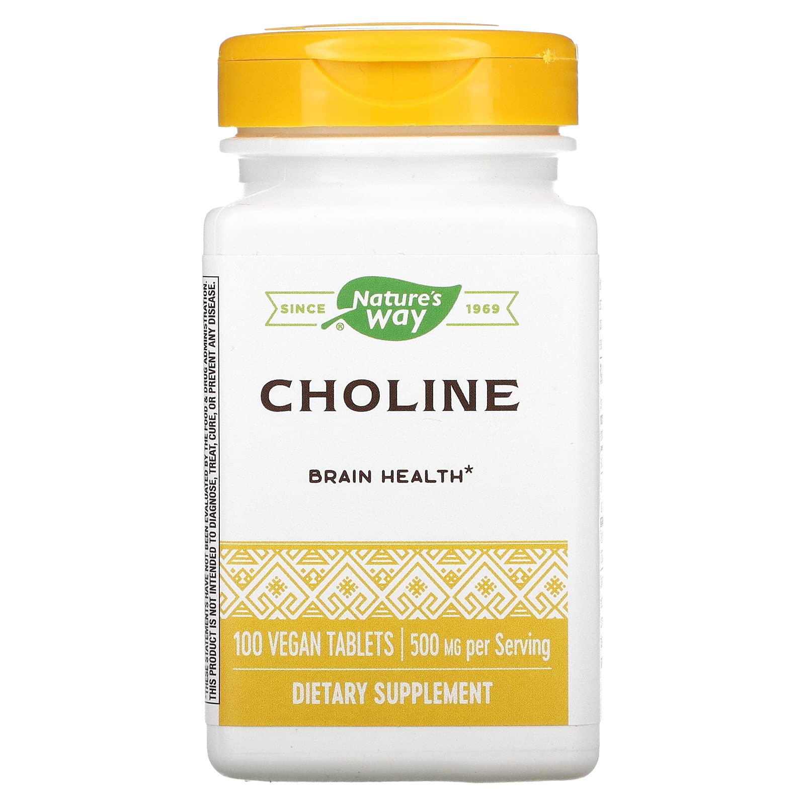 Choline 500mg 100 Tablets