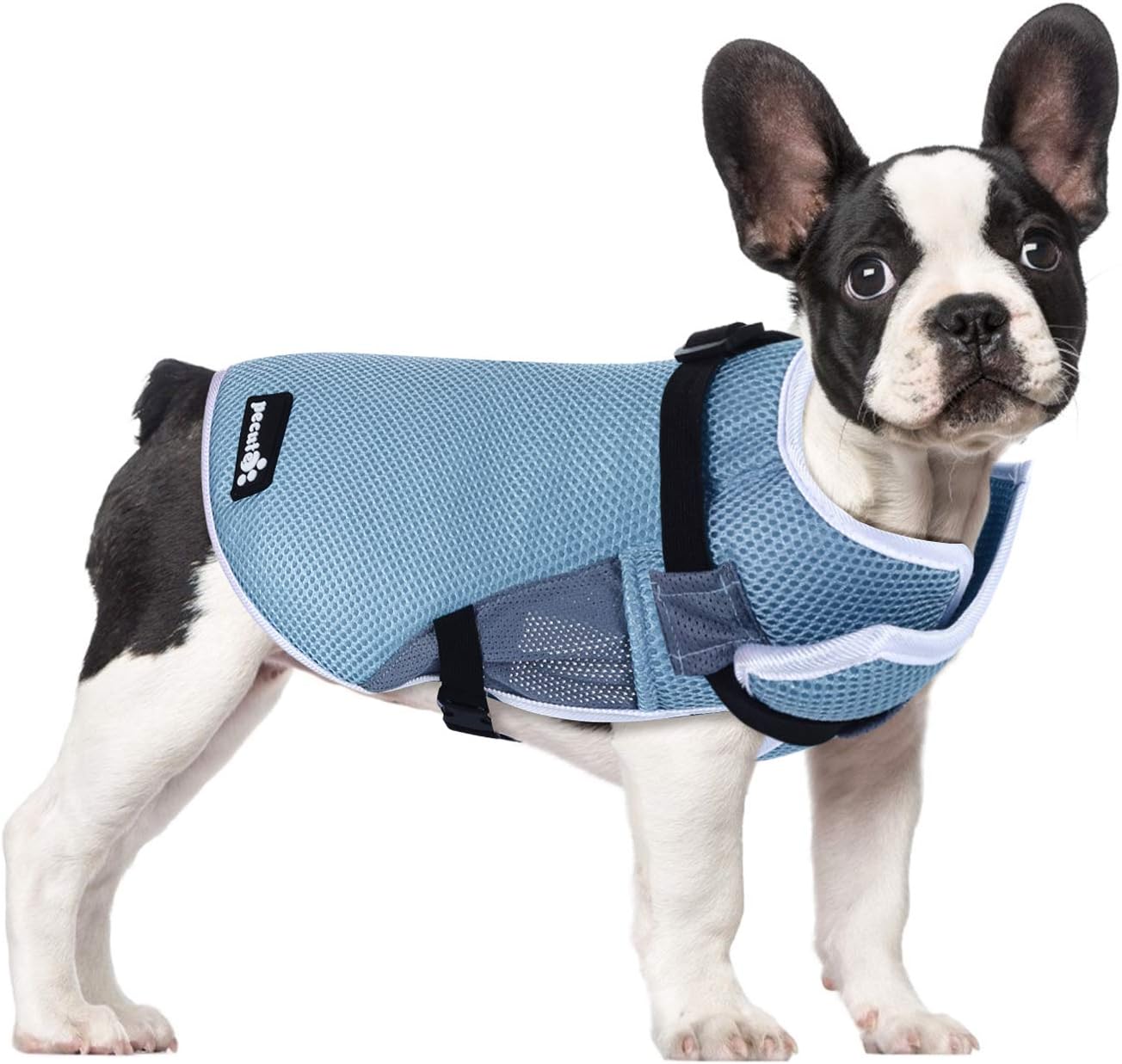dog cooling jacket amazon