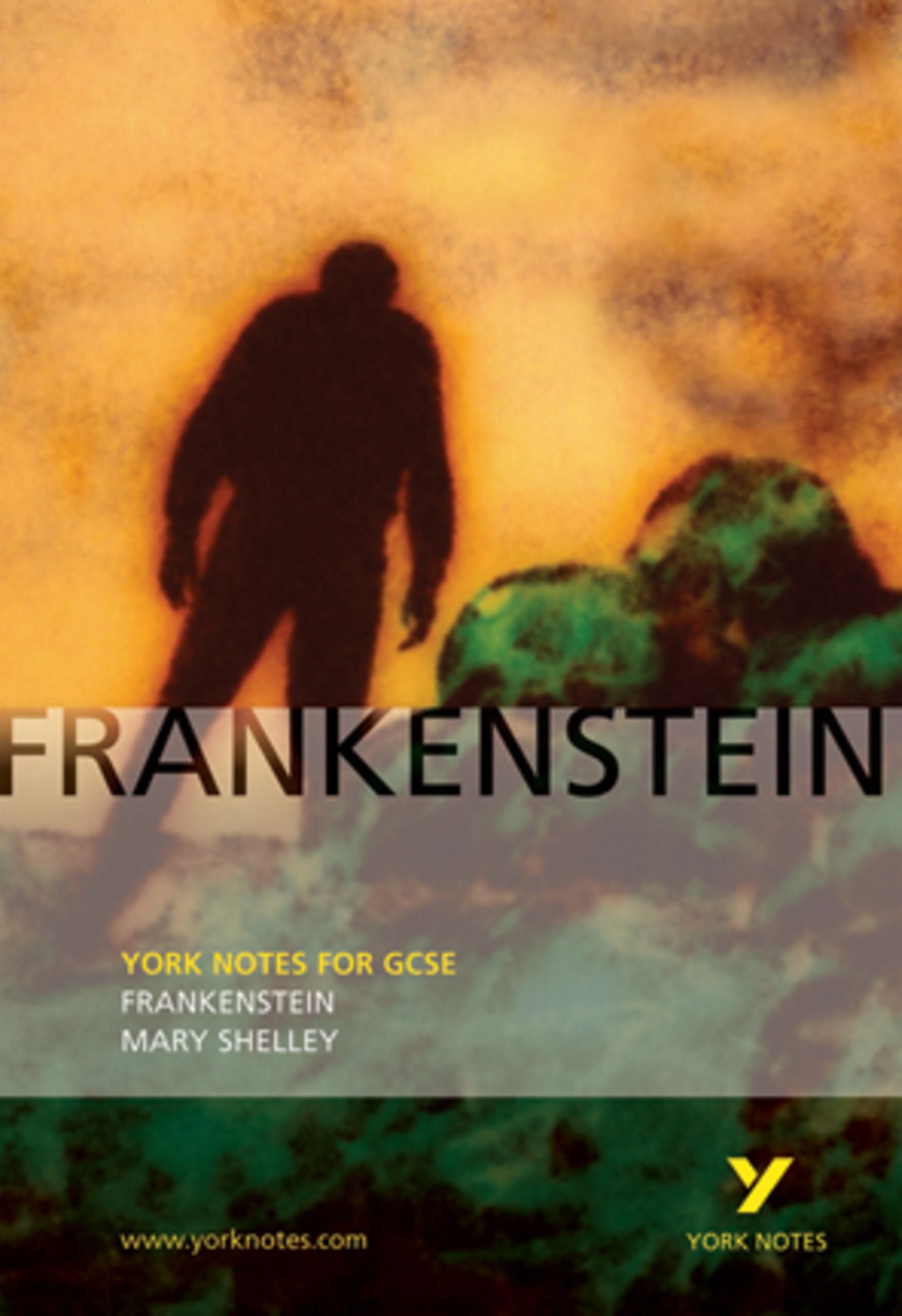 Frankenstein: York Notes GCSE - for 2027, 2028 exams