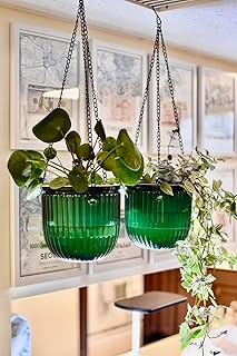 2 Pack Hanging Plant Pot Self Watering Pots for Plants Indoor,6.5 Inch Hanging Flower Pots Outdoor, Plant Pots with 3 Hooks Drainage Holes Flower Pot Hanger Planters for Garden Home (Emerald)