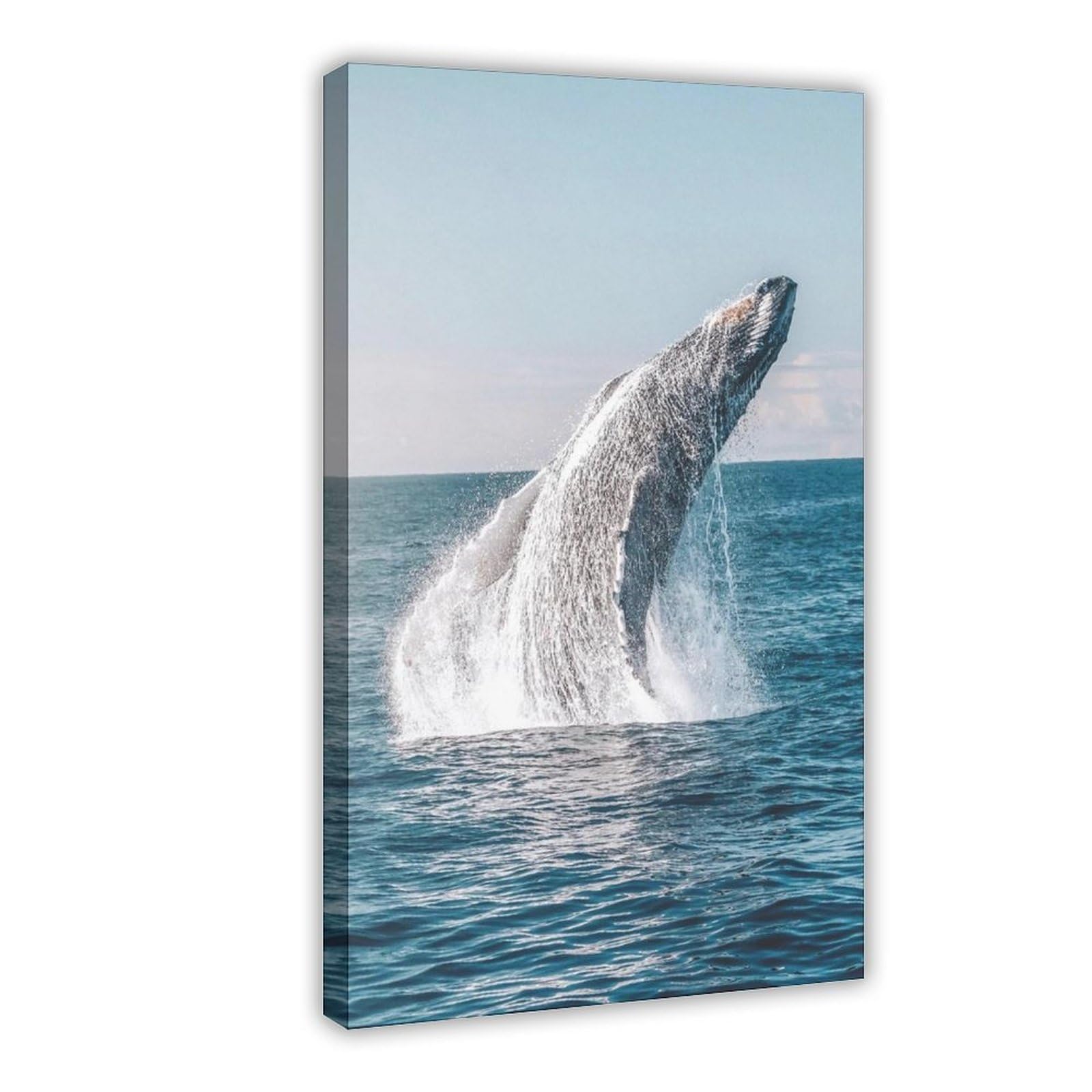 Flamint Frame Breaching Humpback Whale Australia Canvas Poster Bedroom Decor Landscape Office Room Decor Gift 20" L X 30" W