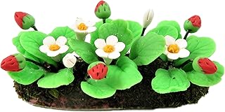 Melody Jane Dollhouse Flowering Strawberry Plants in Ground Soil 1:12 Garden Accessory