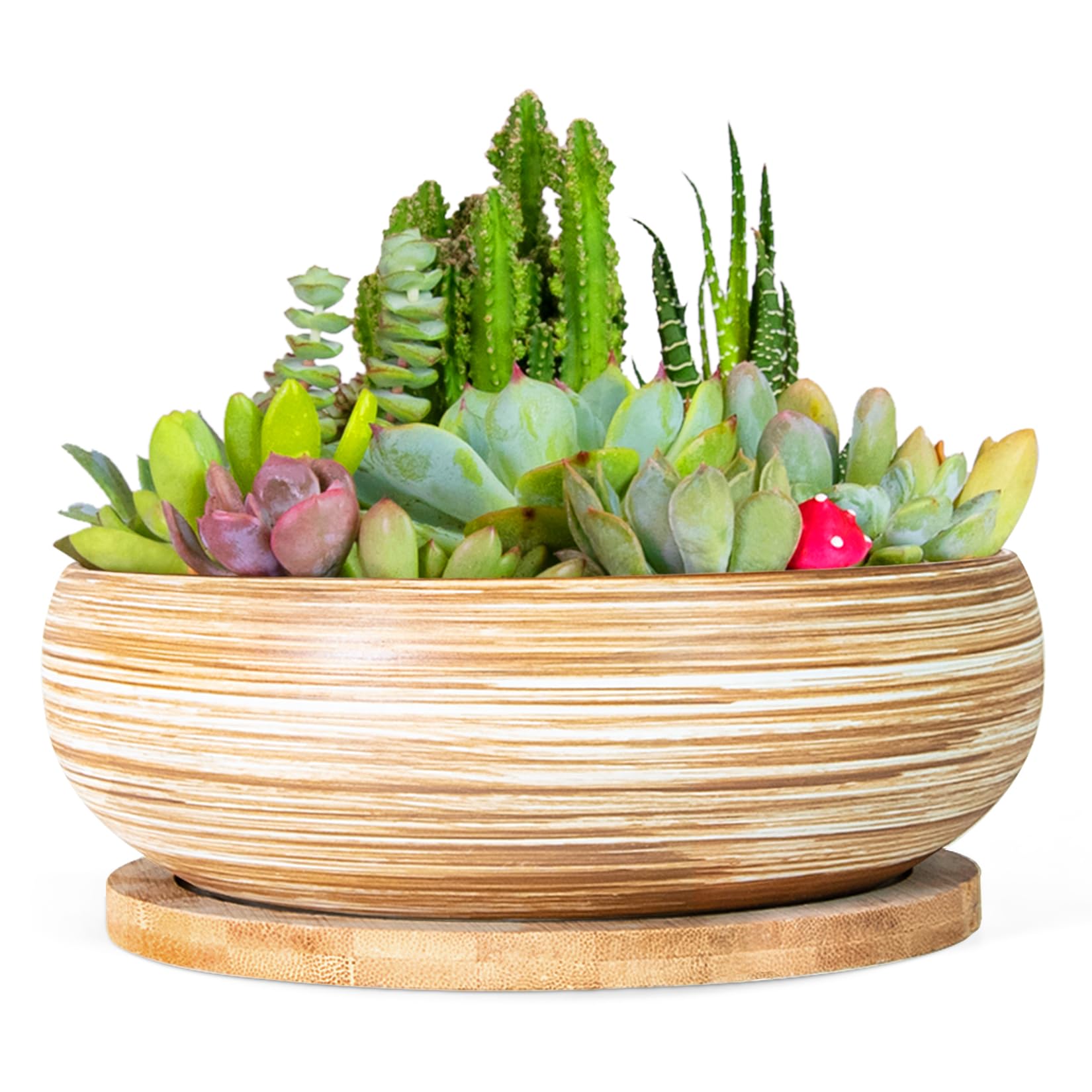 ARTKETTY Succulent Pots
