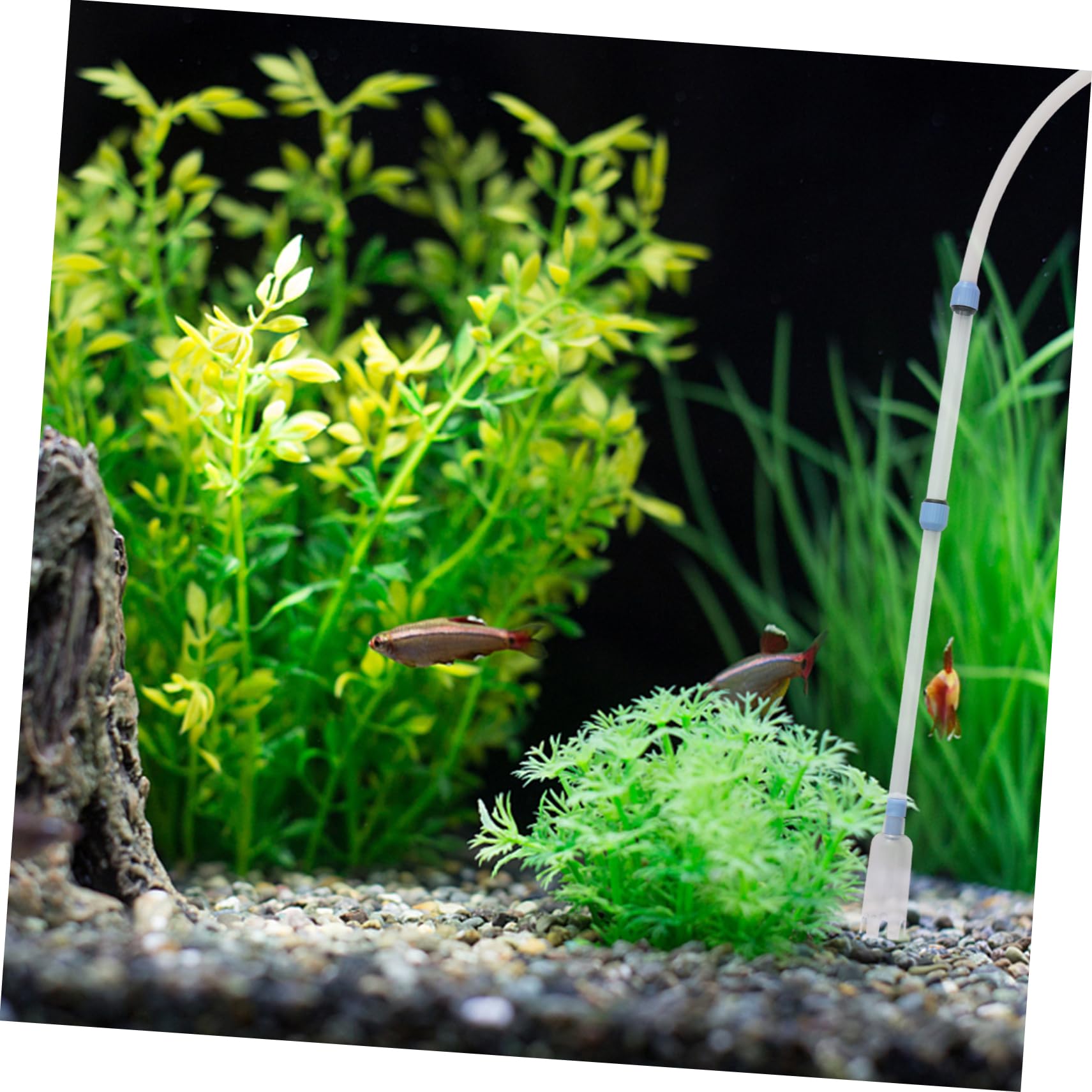 minkissy Lot de 3 aspirateurs à Vide pour Aquarium - Changeur d'eau - Aspirateur de Table - Aspirateur sous Vide - Mini aspirateur - Laveuse à Sable - Filtre à Eau Manuel
