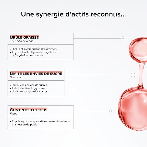 Brûleur De Graisse Puissant & Coupe Faim - Programme Minceur Complet, 6 Actions - Konjac, Chrome, Gymnema, Thé Vert & Guarana - 100 Gelules Végétales - Vegan - Beyond Elements - 3