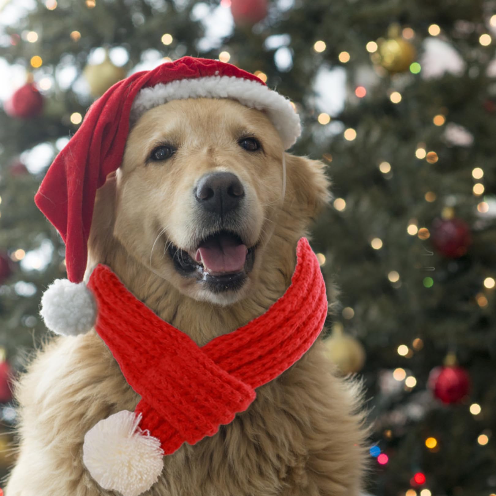 1Pcs Cat Dog Christmas Outfit, Knitted Red Scarf - Image 4