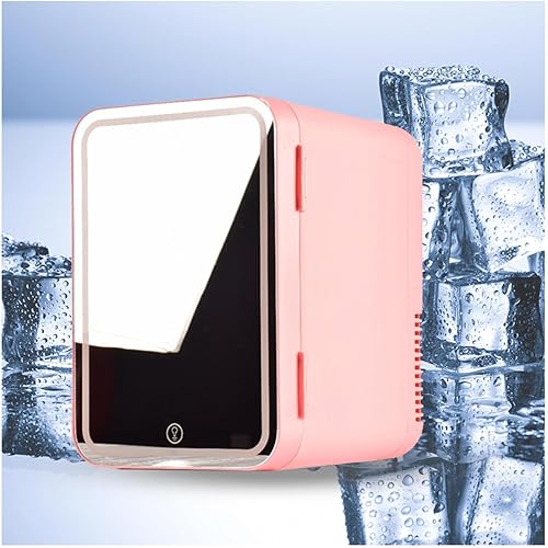GaRcan Mini refrigerador para el cuidado de la piel, con espejo LED, mini refrigerador de 8 litros de capacidad para automóvil, frío o calor, CA 220