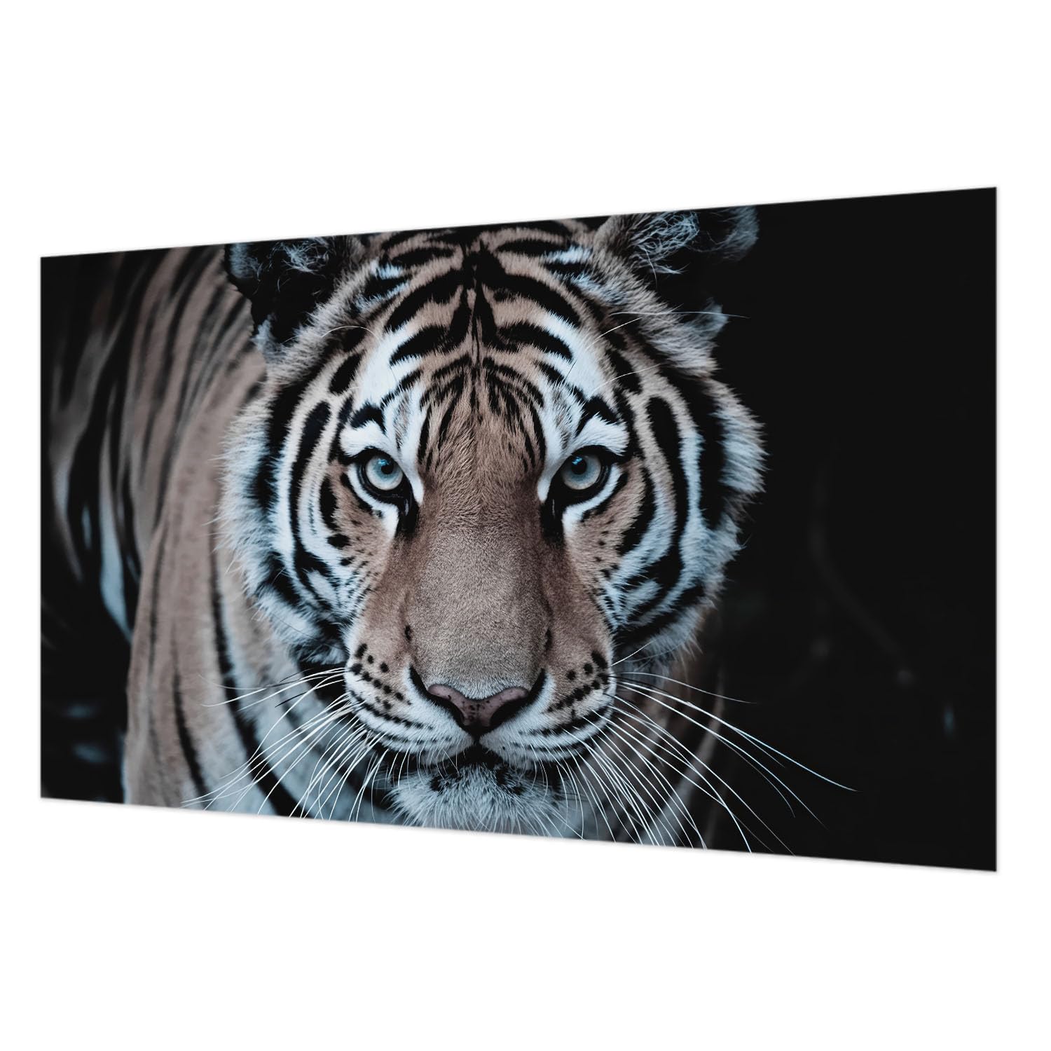 Papier peint intissé tigre lavable et facile à poser 416cm