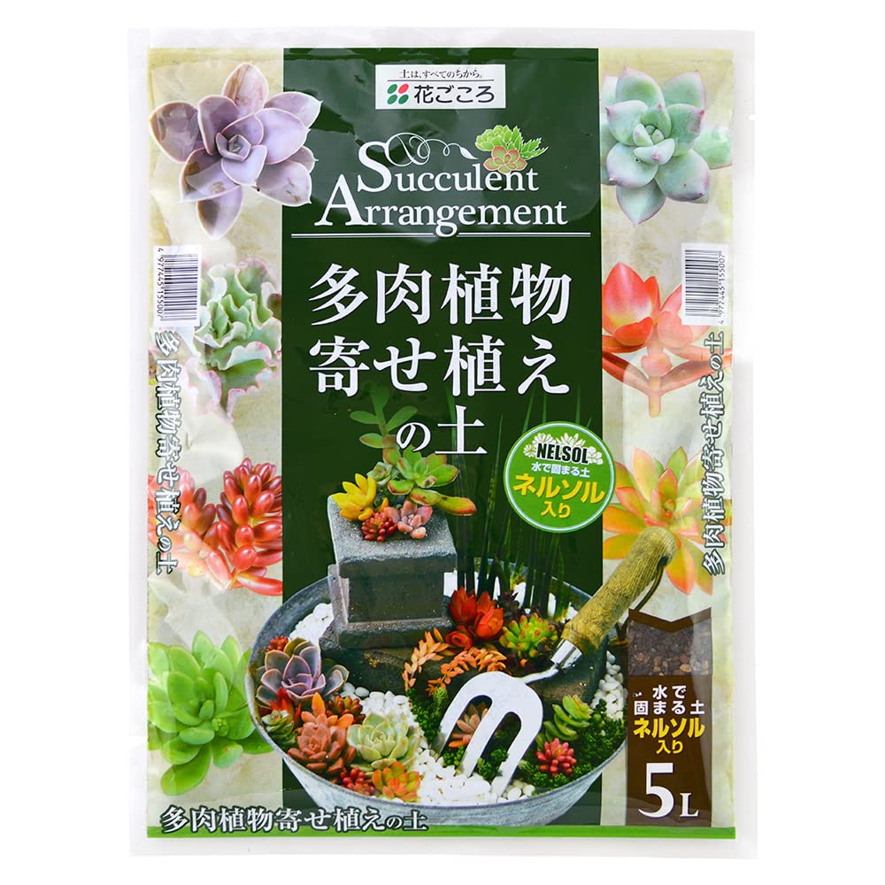 Amazon | 花ごころ 多肉植物寄せ植えの土 水で固まる土「ネルソル