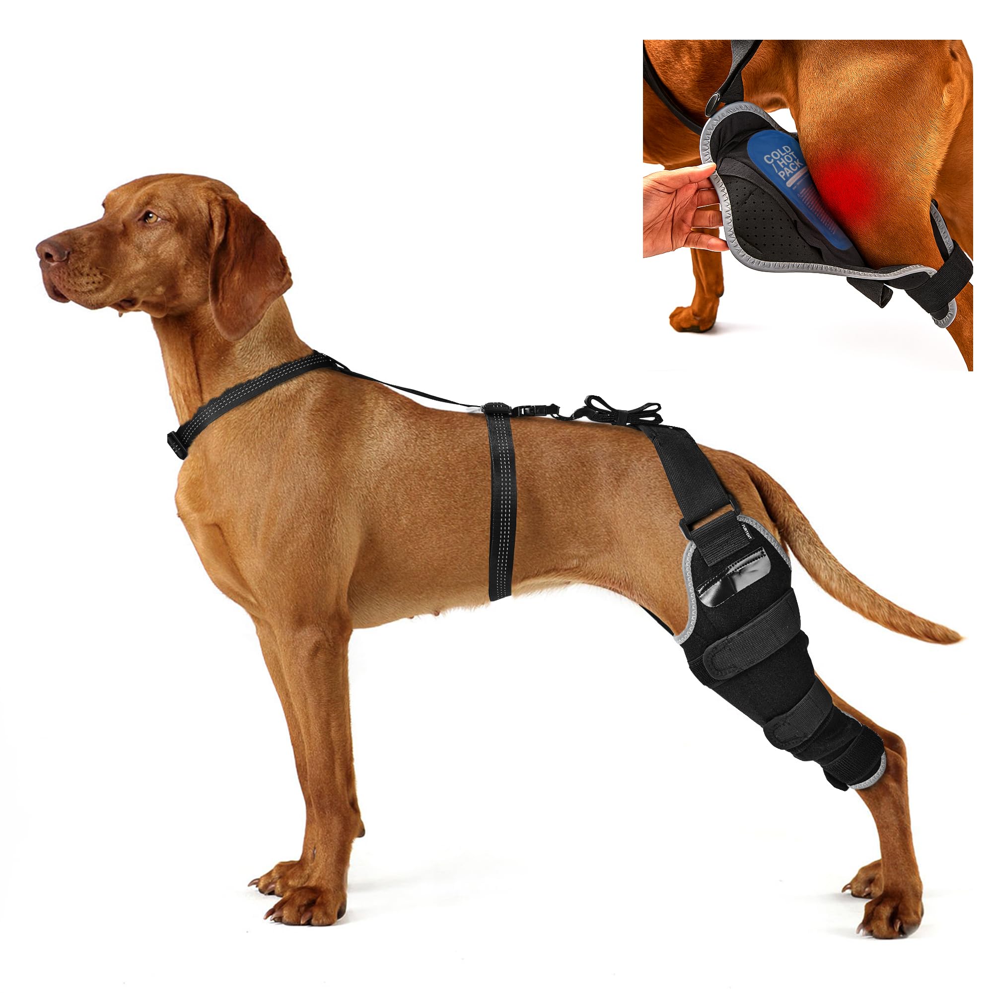 Photo 1 of KISFLY ACL Brace for Dogs – Reflective Adjustable Knee Brace for Dogs Back Leg with Hot/Cold Compress Gel Pack for Joint Pain Relief, Swelling Reduction and Rehabilitation, Left Leg, Size XL