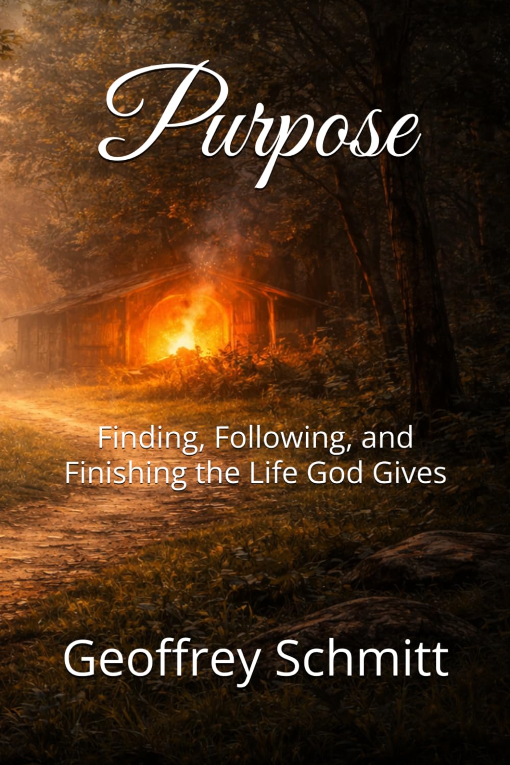 Purpose: Finding, Following, and Finishing the Life God Gives