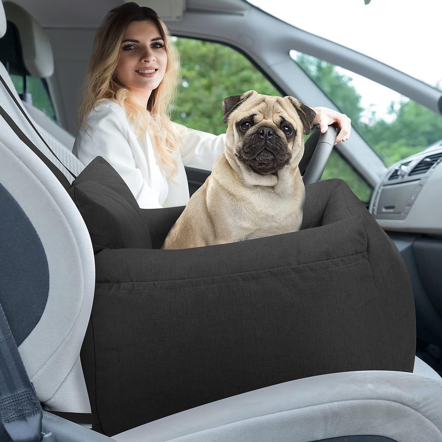 Dog Car Seat for Small Dog, Pet Booster Seat Dog Travel Safety Car Carrier with Side Pocket Storage Fully Removable and Washable : Pet Supplies