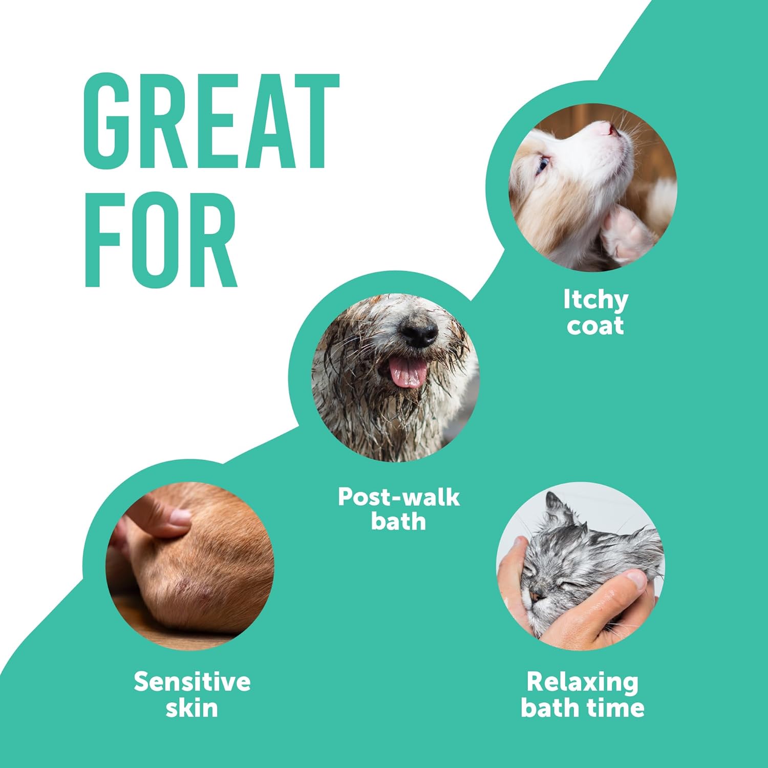 71EfD1k7DfL. AC SL1500