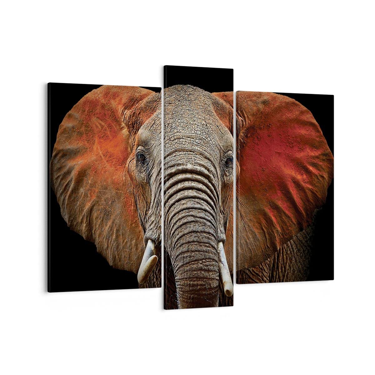 ARTTOR Cuadros Decoracion Salon Elefante Fauna Fantasía Lienzos Decorativos 50x50cm Cuadro Sobre Lienzo Moderno Dormitorio Cocina Cuadros Pared Imágenes Wall Art Prints Decor Canvas AC50x50-3079