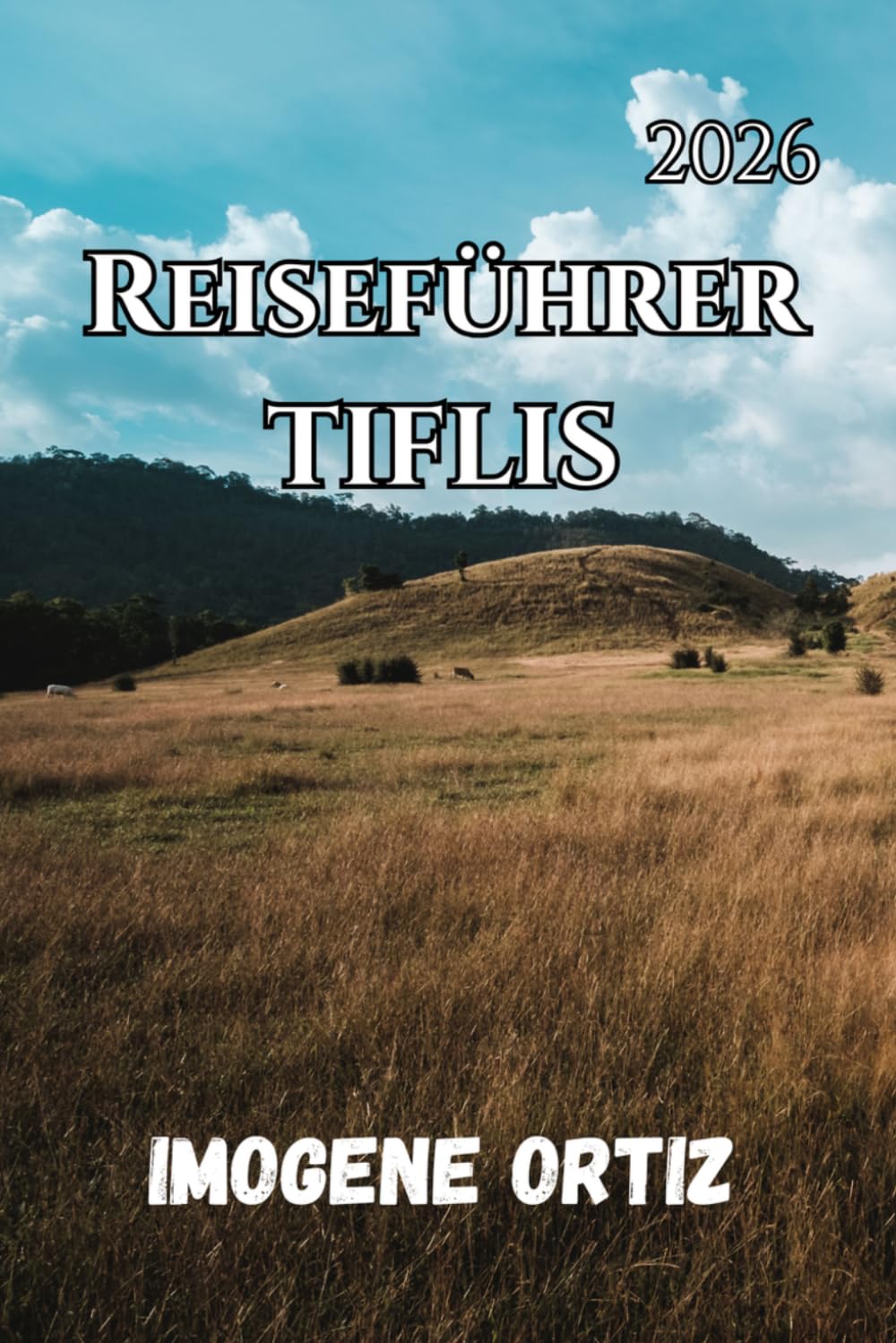 REISEFÜHRER TIFLIS 2026