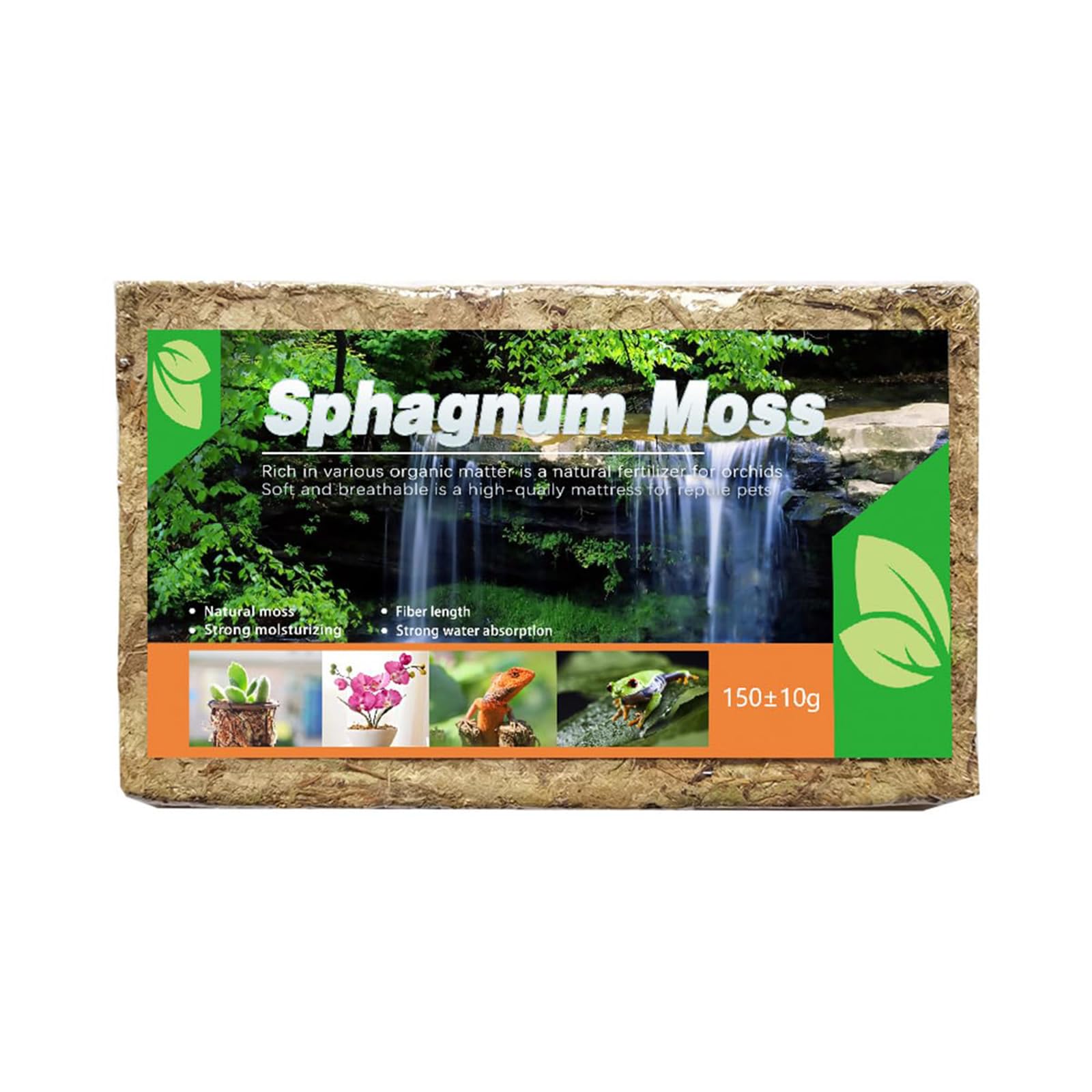 Buy Paporich Long Fibered Sphagnum Moss, Natural Long Fibered Moss