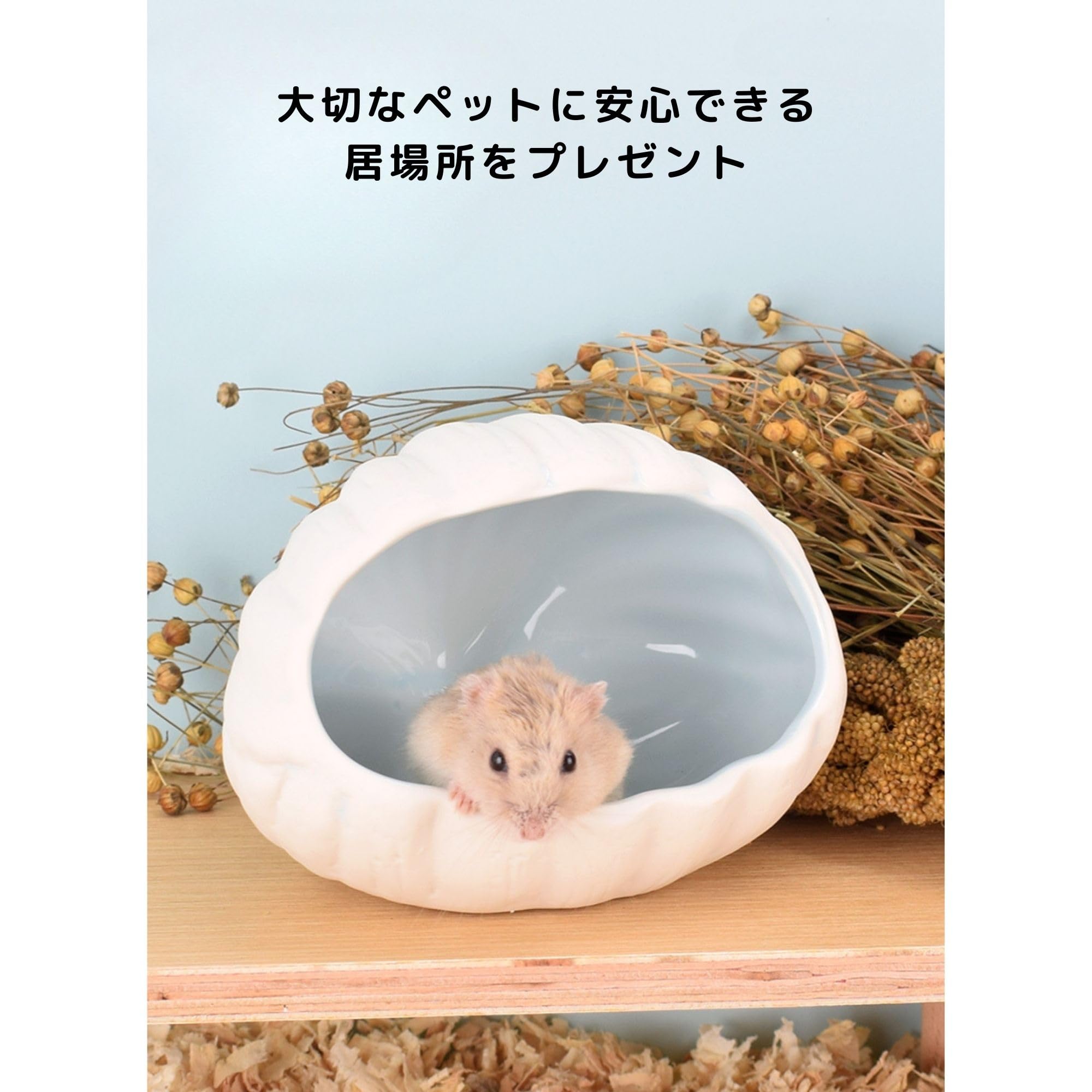 ウーパールーパー　シェルター Amazon | Pochumore ウーパールーパー 隠れ家 水槽 シェルター