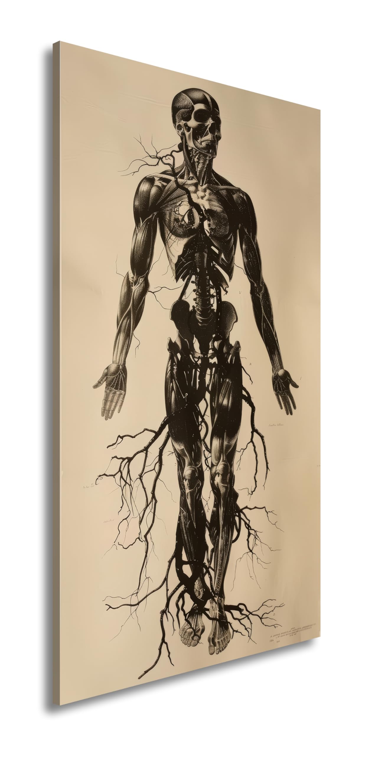 Leinwandbild Anatomische Eleganz in düsteren Linien Panorama 120x60cm XXL Kunstdruck Bild auf Keilrahmen/Wandbild/Wohnzimmer Dekoration