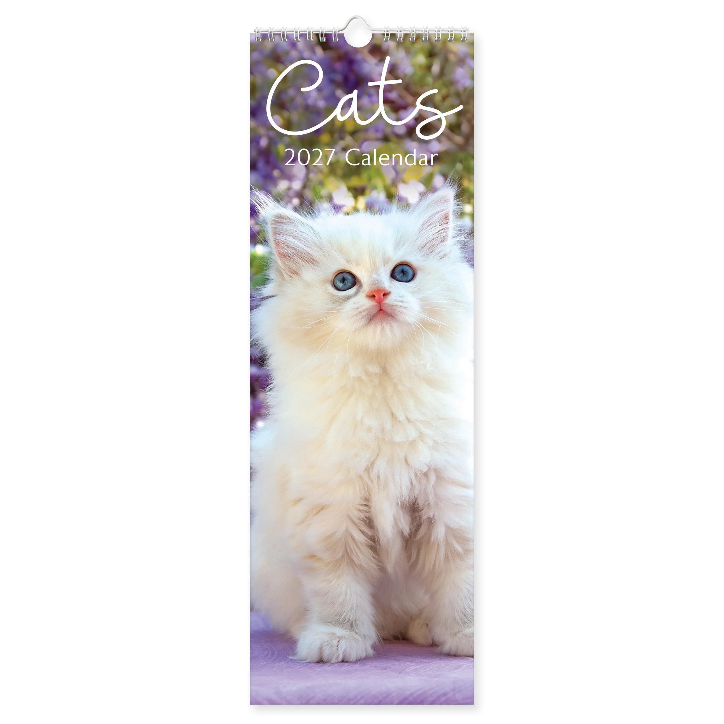 Cats Slim 2027 Wall Calendar | Monthly Planner with Adorable Cat & Kitten Photos | Tabby, Bengal, Russian Blue & More | Wire Bound with Hanging Loop
