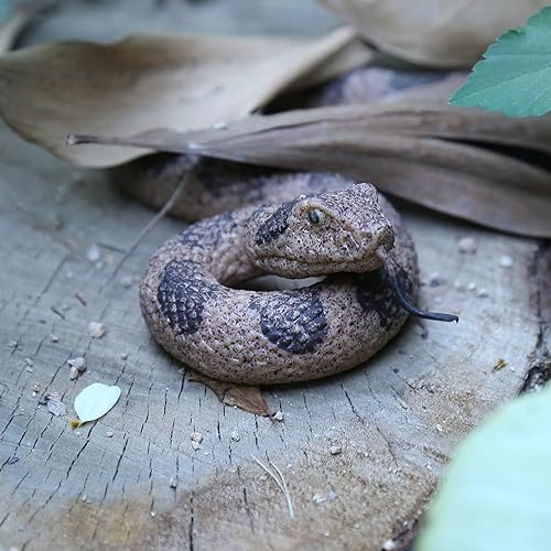 Miniatura 3 de SIENON Juguete realista de serpiente falsa de goma suave, figura de serpiente de jardín, pájaros y ardillas, 2 figuras de juguete de serpiente de