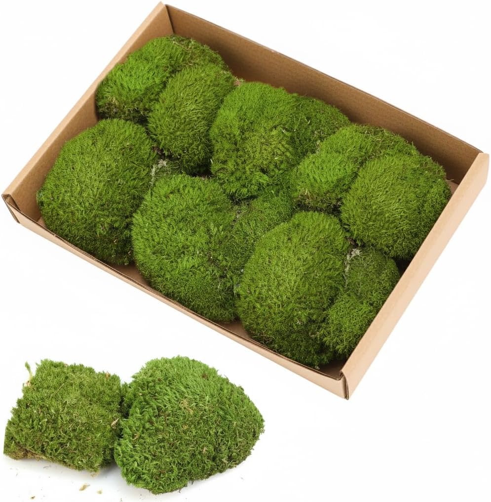 TCYPUHL 2 sq.ft Natural Green Pillow Moss Preserved Natural Cushion Bun with No Fade Color for DIY Wall Art Terrarium Home Decor, Holiday Christmas Decor