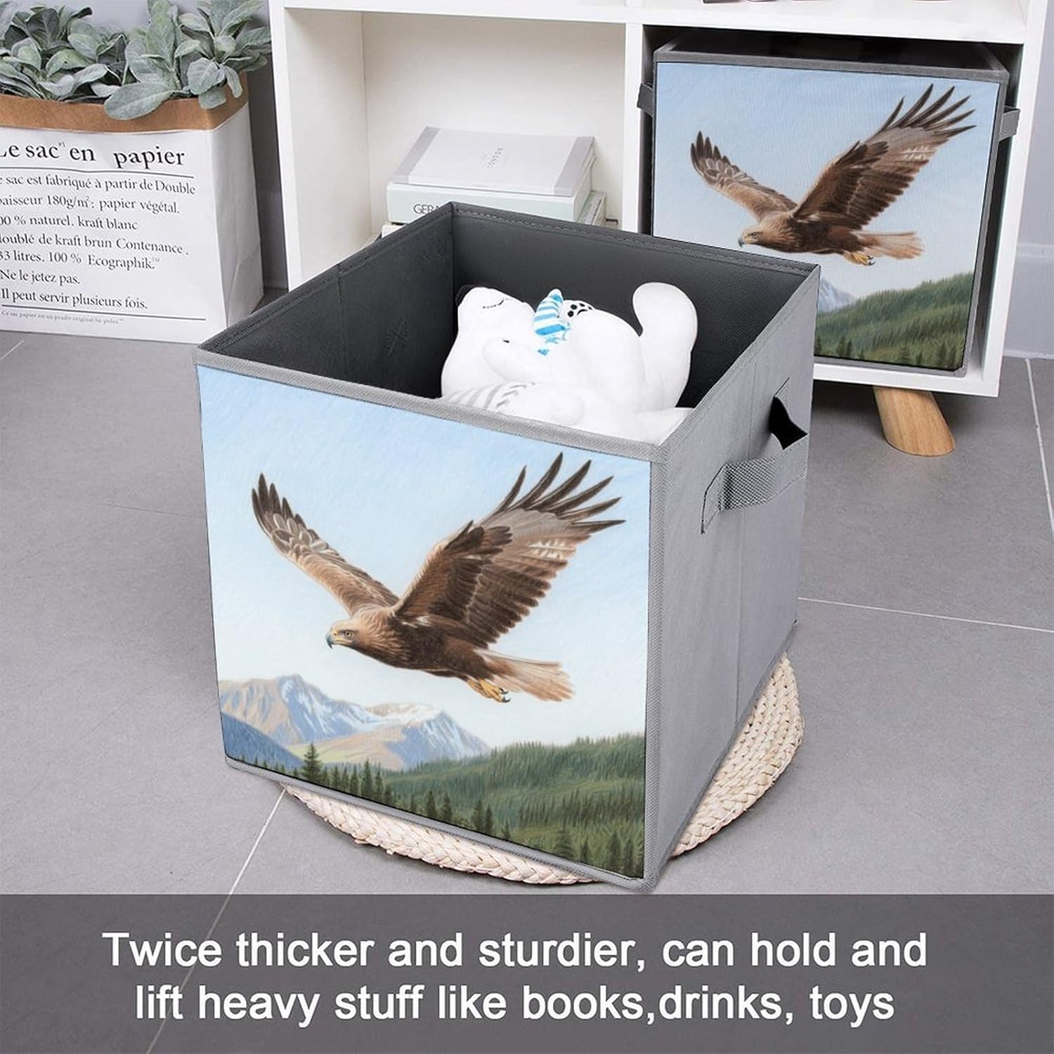 2-piece Oxford Cloth Storage Box The Eagle Spreads Its Wings Printed Storage Box for Clothes/shoes Multi-purpose Wardrobe And Cabinet Storage