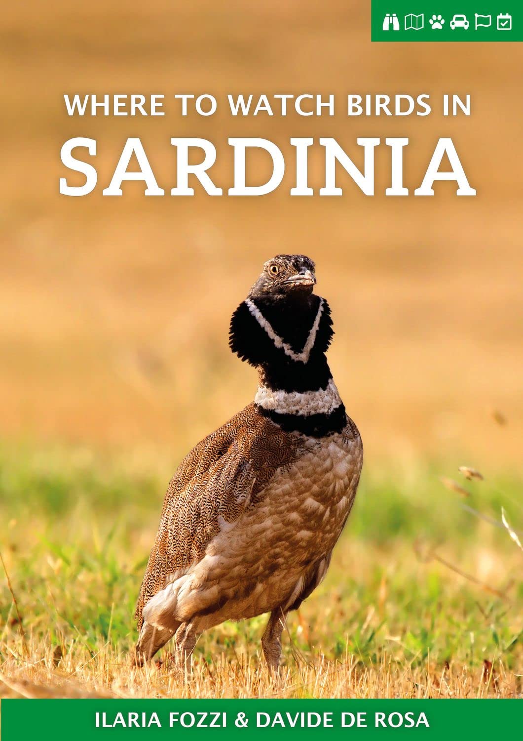 Where to Watch Birds in Sardinia (Where to Watch Guides)