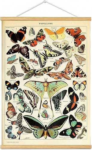 Marco para colgar pósteres de flores vintage, tabla de referencia floral de plantas, decoración de pared, decoración de habitación, estética,