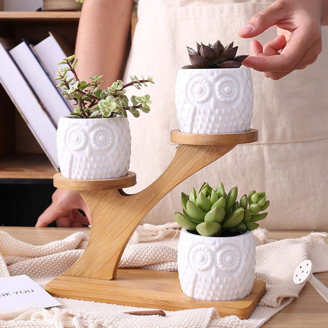 Simcat 3pcs Ceramics Succulent Pots with 3 Tier Bamboo Saucers Stand Holder,Ceramic Flower Planter Pot with Drainage - Image 3