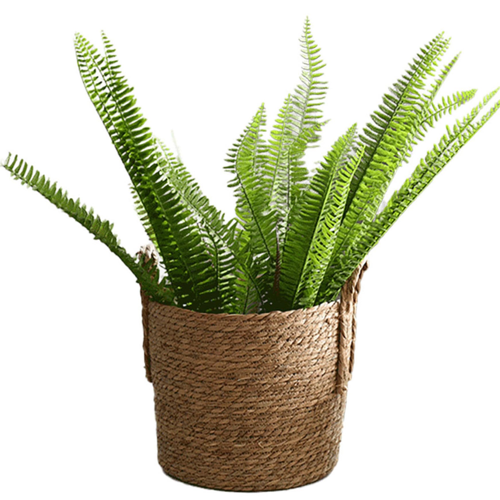 Panier végétal tissé, paniers de jardinières intérieurs de 25 cm Récipient de Rangement tissé avec doublures en Plastique Paille de Paille pour la Maison, S