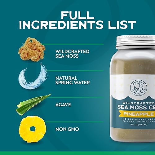 Vista 12 de Herbal Vineyards Wildcrafted Irish Gold - Gel de musgo marino de 16 onzas, gel orgánico de masa marina hecho con algas secas y verduras marinas