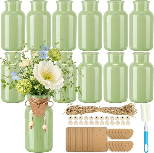 TBWIND Mason Jar Vases for Centerpieces, 12PCS Mint Green Glass Flower Vase | Vintage Farmhouse Bud Vases in Bulk with DIY Accessories for Wedding Party Table Decorations Home Decor